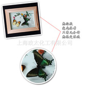 彩盒/紙盒組裝用熱熔膠